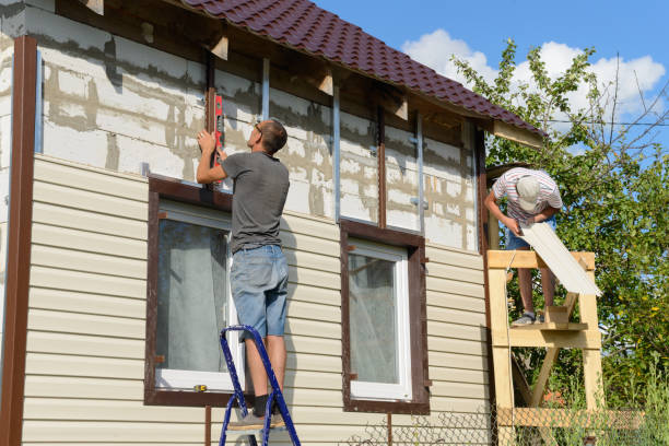 Best Brick Veneer Siding  in Toledo, IL