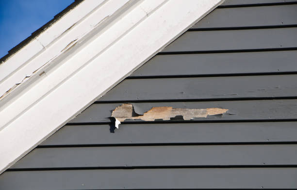 Best Siding Removal and Disposal  in Toledo, IL